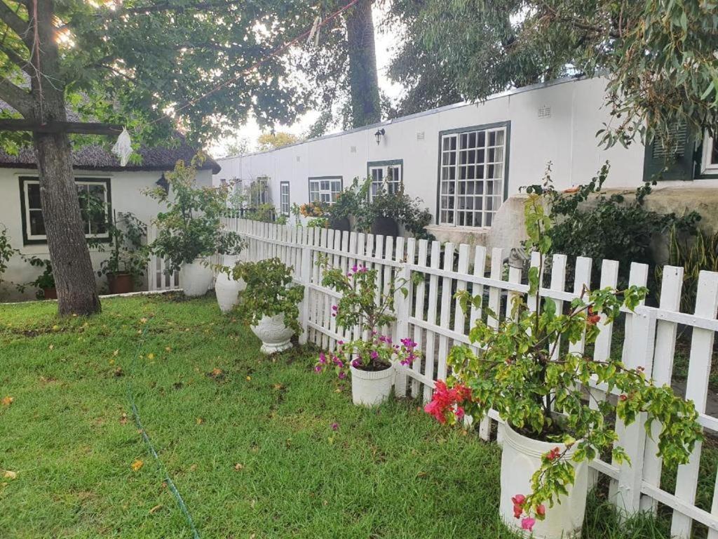 Apartamento Meyerhof Ciudad del Cabo Exterior foto