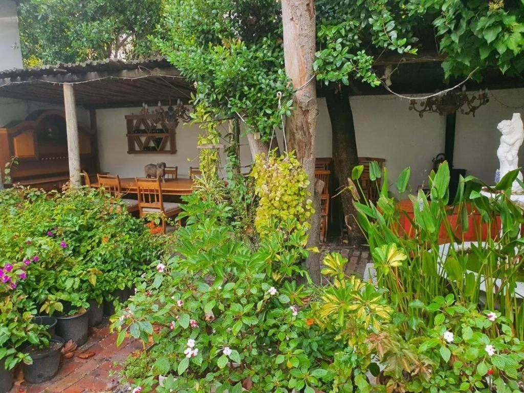 Apartamento Meyerhof Ciudad del Cabo Exterior foto
